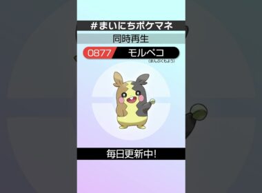 [モルペコ(まんぷくもよう)] 毎日ポケモンの鳴き声モノマネ - 877日目 #まいにちポケマネ #shorts #ポケモン