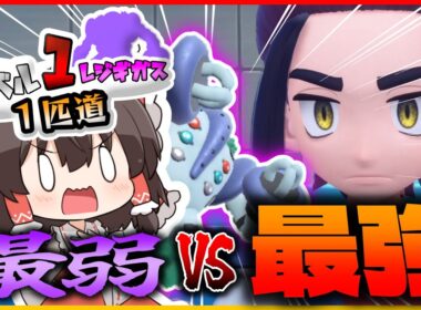 レベル1レジギガス1匹縛りで殿堂入りを目指す旅【藍の円盤】＃11【ゆっくり実況】【ポケモンSV】