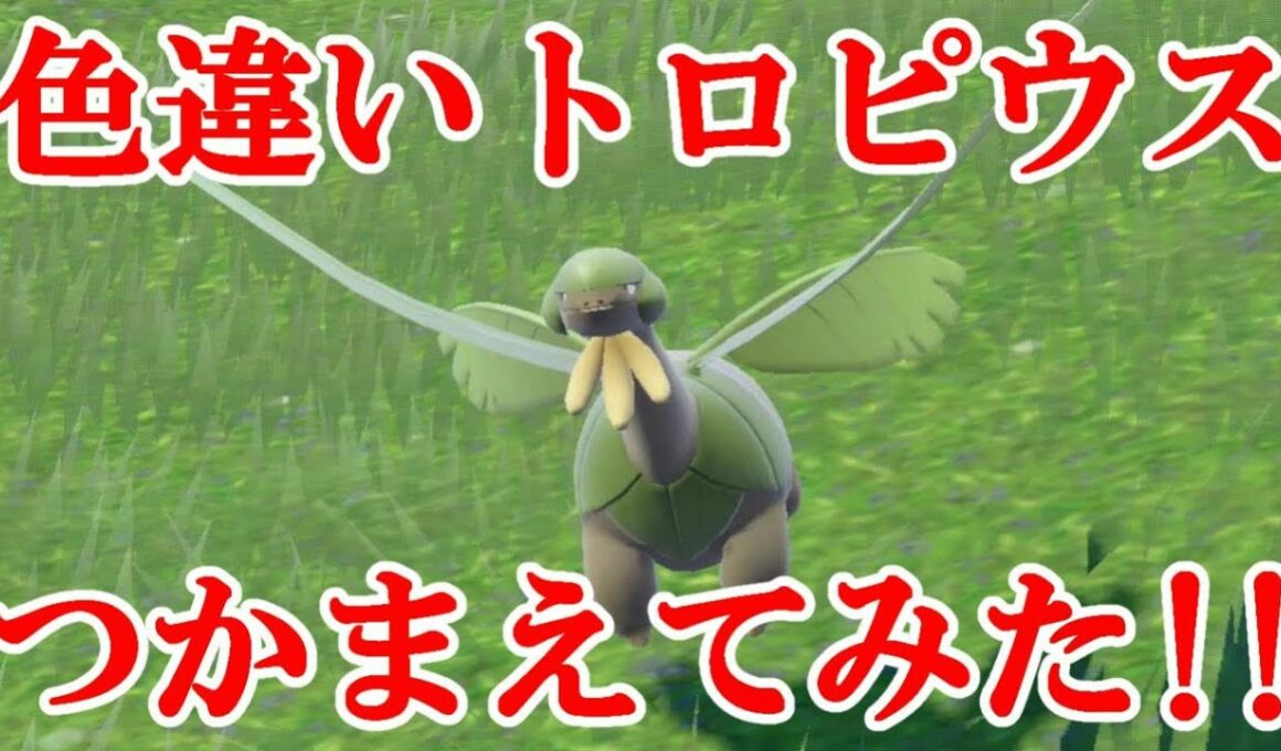 【ポケモンSV】色違いトロピウスつかまえてみた！！