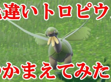 【ポケモンSV】色違いトロピウスつかまえてみた！！