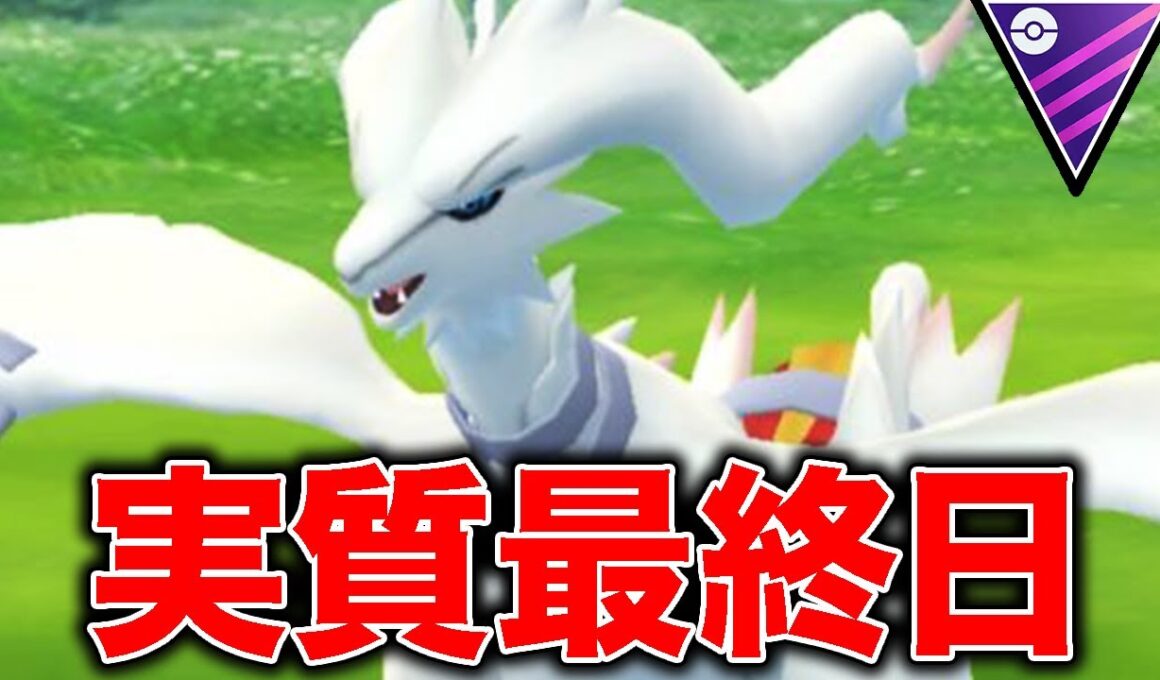 本日実質最終日レシラムの高個体とれた？？【ポケモンGO】【GOバトルリーグ】【マスターリーグ】