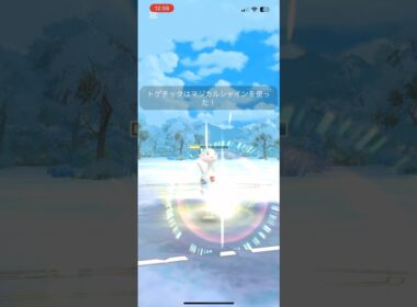 トゲチックを活躍させたい！