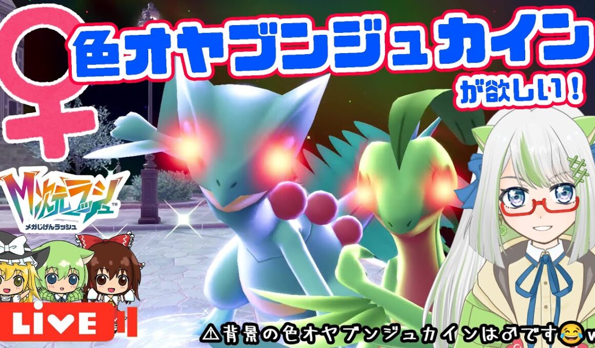 【♀縛り】御三家♀色オヤブン厳選！♀色オヤブンジュカイン狙ってくぞ！！！😆✨【ポケモン実況】 #ポケモン #色違い