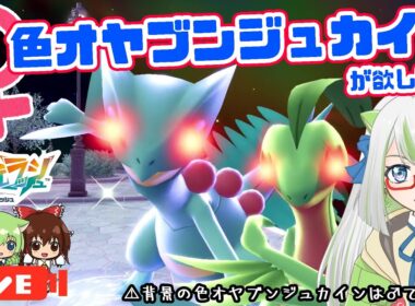 【♀縛り】御三家♀色オヤブン厳選！♀色オヤブンジュカイン狙ってくぞ！！！😆✨【ポケモン実況】 #ポケモン #色違い