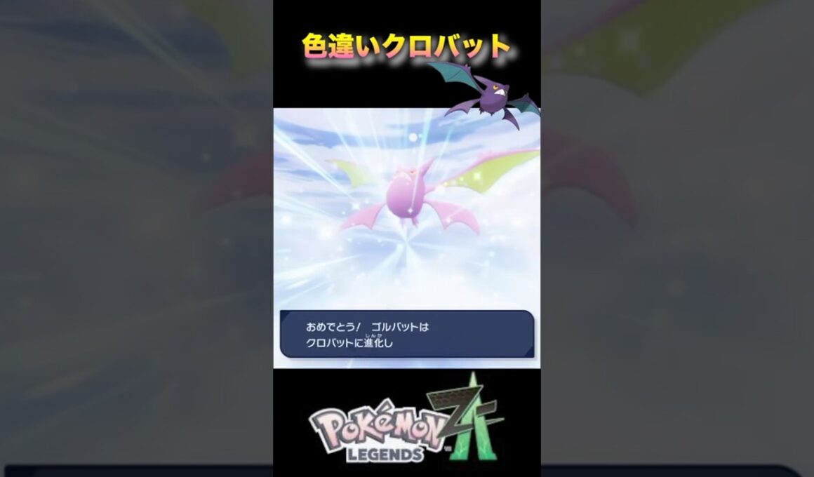 みんな大好き色違いクロバットだよー！#pokémonlegendsza #ポケモンza #ポケモンレジェンズza #shinypokemon #夫婦ゲーム実況