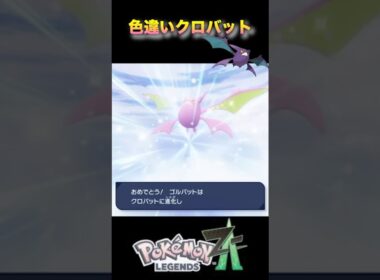 みんな大好き色違いクロバットだよー！#pokémonlegendsza #ポケモンza #ポケモンレジェンズza #shinypokemon #夫婦ゲーム実況