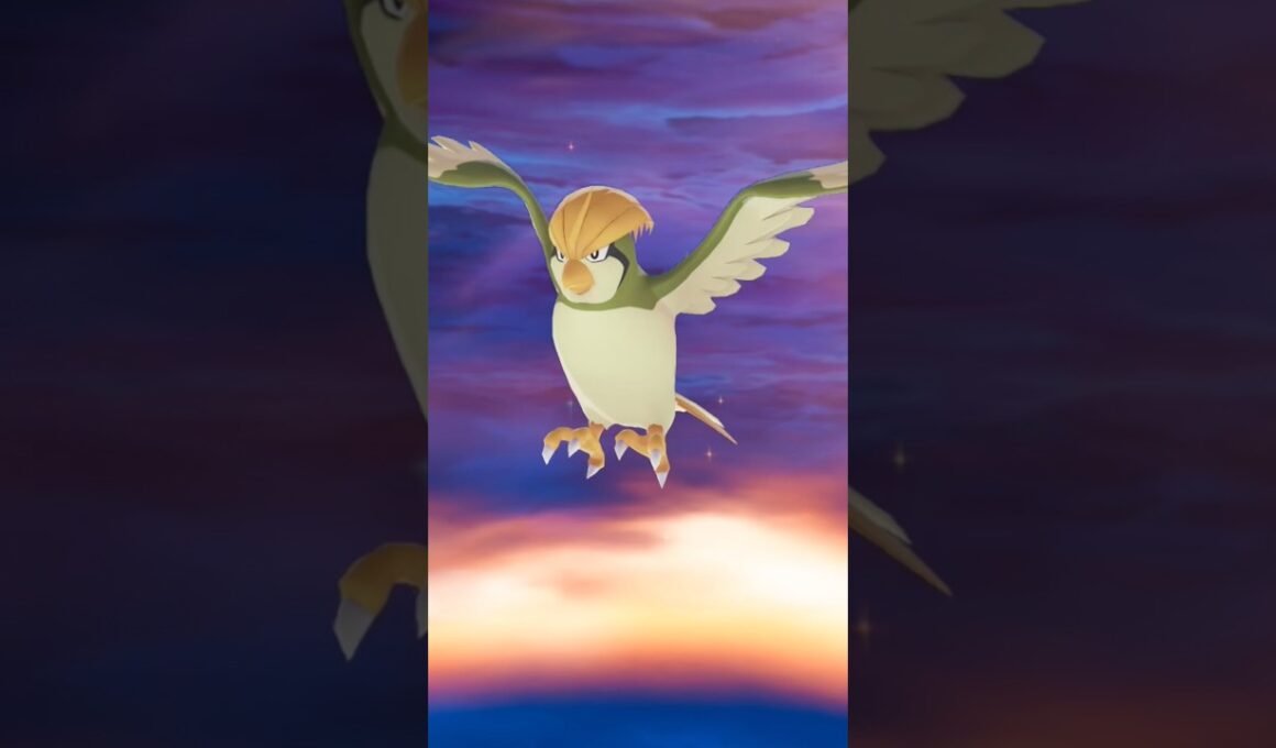 【色違い】ピジョンからピジョットへの進化【ポケモンレジェンズZA】