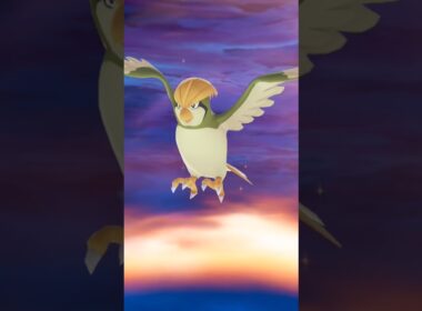 【色違い】ピジョンからピジョットへの進化【ポケモンレジェンズZA】