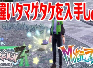 【ポケモンZ-A】色違いタマゲタケを入手しよう【Pokémon LEGENDS Z-A M次元ラッシュ】