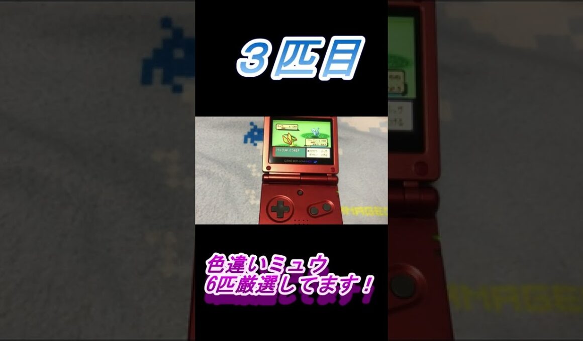 色違いミュウ6匹厳選してます！！