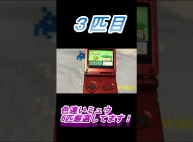 色違いミュウ6匹厳選してます！！