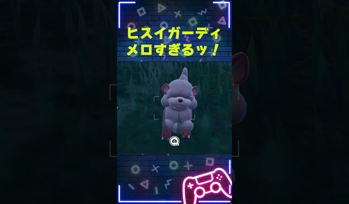 ヒスイガーディが…メロ過ぎる…｜【ポケモンSV ゼロの秘宝（碧の仮面）】#ポケモン #ポケモンsv #ゼロの秘宝 #碧の仮面