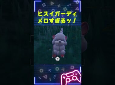 ヒスイガーディが…メロ過ぎる…｜【ポケモンSV ゼロの秘宝（碧の仮面）】#ポケモン #ポケモンsv #ゼロの秘宝 #碧の仮面