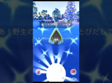 フォーエバーフレンズタイムチャレンジ（2/4）クリア！＋色違い ユキワラシ 【 ポケモンgo 】より冷たげに！？ #ポケモン #pokemon #ポケモンgo #pokemongo #ユキワラシ
