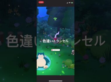 ポケモンスリープ　色違いトランセル出現！ #ポケモン #pokémon