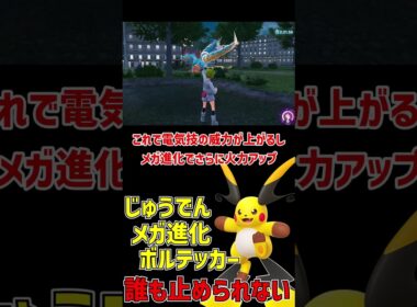 全員ワンパンできる メガライチュウX