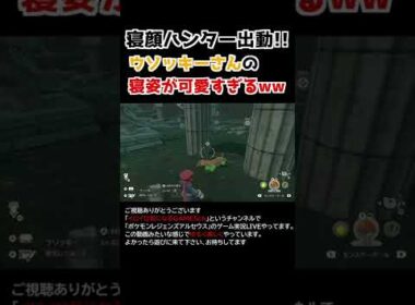 ウソッキーさんの「寝姿」が可愛すぎるww【Pokémon LEGENDS アルセウス】【寝顔ハンター】