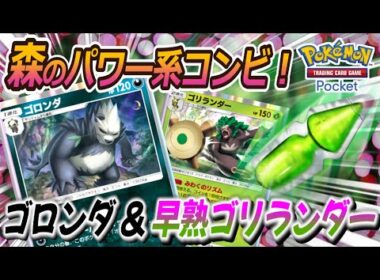 【ポケポケ｜デッキ紹介】森のパワー系コンビ！ゴロンダ feat. 早熟ゴリランダー（Pokémon TCG Pocket）