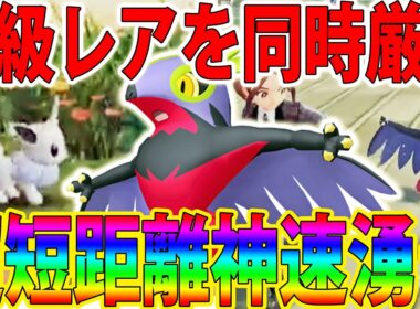 【チート級】「色違いルチャブル＆色違いイーブイ」を短距離＆簡単に入手できる色厳選が最強です【ポケモンレジェンズZA/Pokémon LEGENDS Z-A】