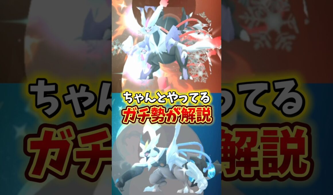 【警告】⚠️落とし穴注意⚠️ブラックキュレムとホワイトキュレムどっちがいいのか初心者さんにもわかるようにガチ勢が徹底解説【ポケモンGO】#ポケモンGO  #島名なまし