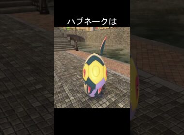 ハブネーク寝相 #ポケモン #ポケモンza #ハブネーク