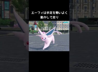 ブイズの走り方の違い【ポケモンZA】#イーブイ#シャワーズ#ブースター#サンダース#エーフィ#ブラッキー#リーフィア#グレイシア#ニンフィア