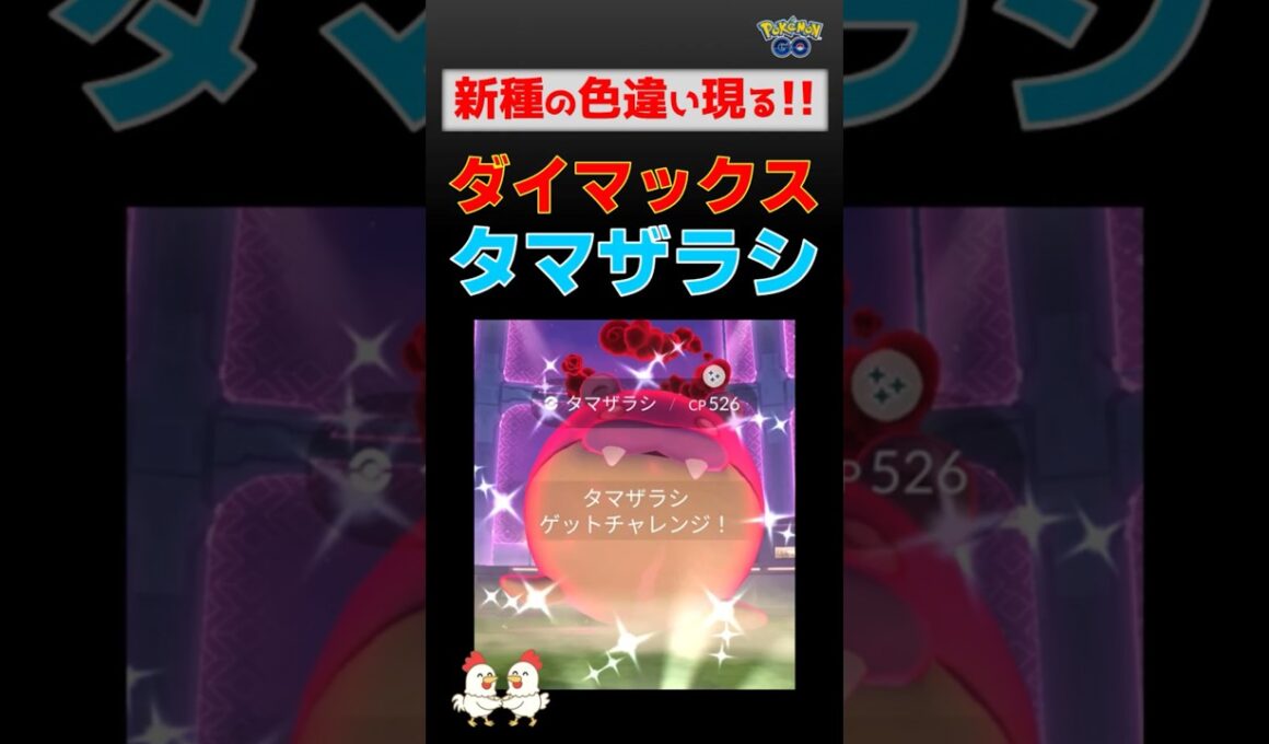 いきなり色違い！【ダイマックス タマザラシ】実装初日、初戦で色違いゲットしました #ポケモンgo #ポケモン #ダイマックス #マックスバトル #タマザラシ #色違い #shinypokemon