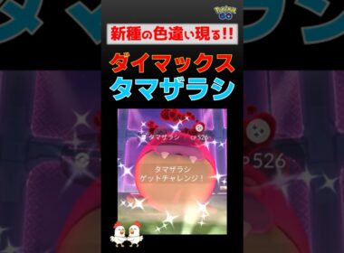 いきなり色違い！【ダイマックス タマザラシ】実装初日、初戦で色違いゲットしました #ポケモンgo #ポケモン #ダイマックス #マックスバトル #タマザラシ #色違い #shinypokemon