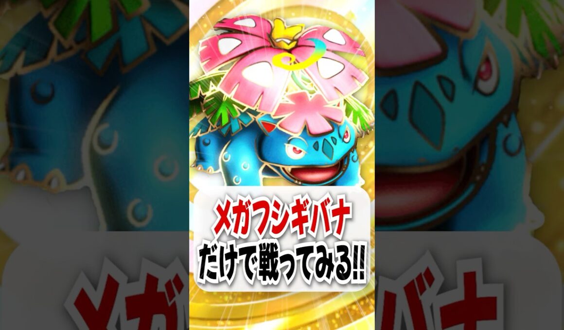 【検証】早熟エキス＆エネ加速が最強のメガフシギバナだけで戦ってみた！【ポケポケ】