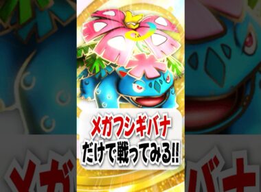 【検証】早熟エキス＆エネ加速が最強のメガフシギバナだけで戦ってみた！【ポケポケ】