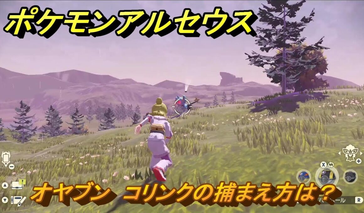 ポケモンアルセウス　オヤブン　コリンクの捕まえ方は？出現場所は？　＃５９２　【Pokémon LEGENDS アルセウス】