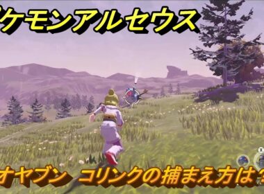 ポケモンアルセウス　オヤブン　コリンクの捕まえ方は？出現場所は？　＃５９２　【Pokémon LEGENDS アルセウス】
