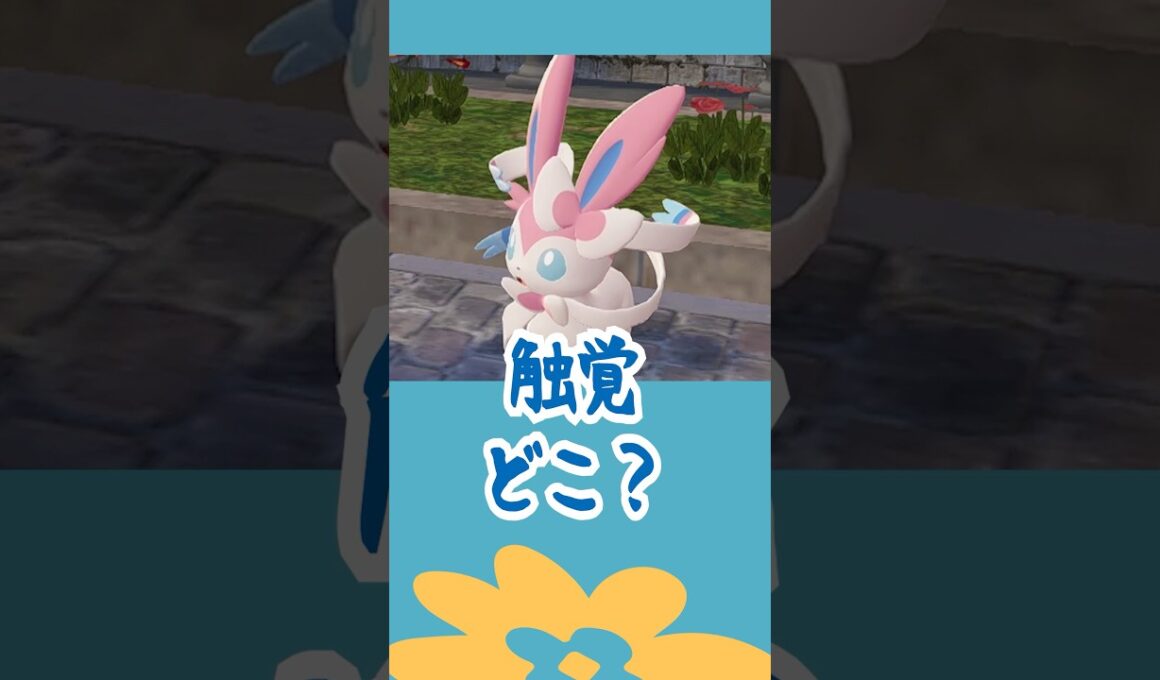ニンフィアの触覚ってどこ？ #ポケモン #shorts