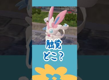 ニンフィアの触覚ってどこ？ #ポケモン #shorts