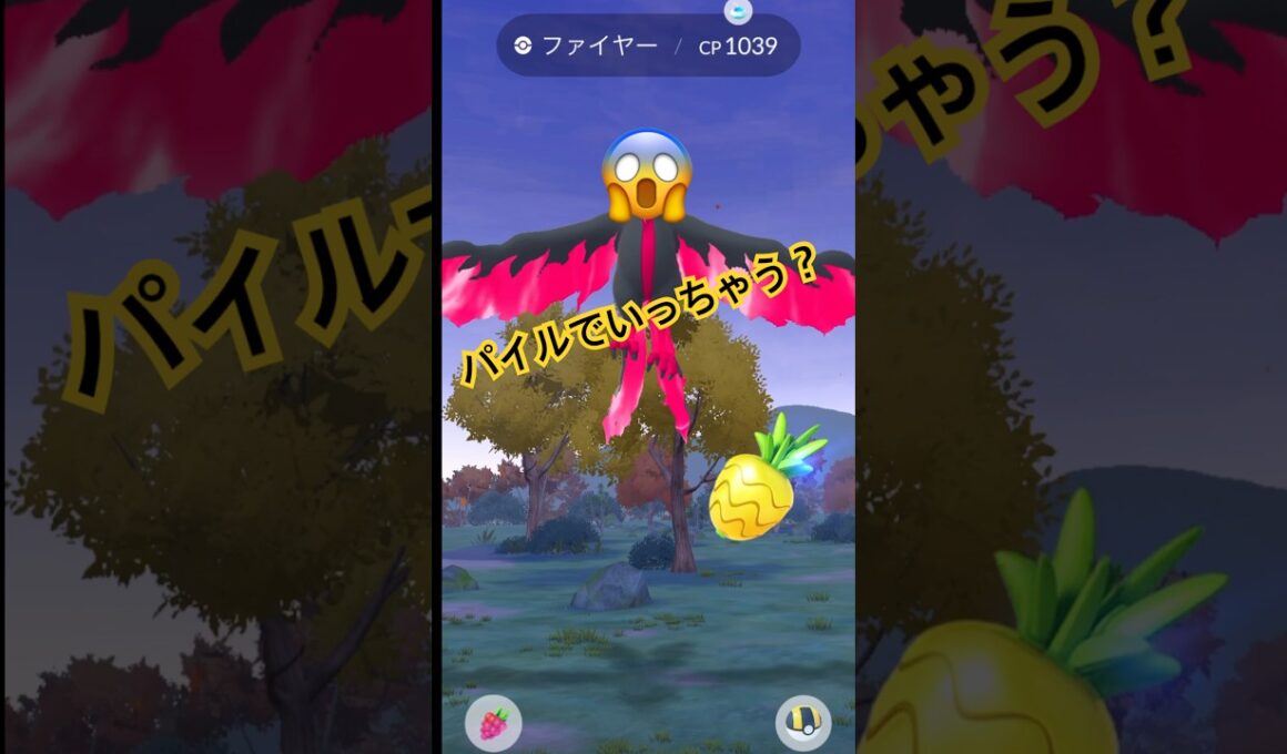 ガラルファイヤーパイルで捕まる⁉️