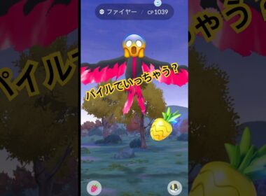 ガラルファイヤーパイルで捕まる⁉️