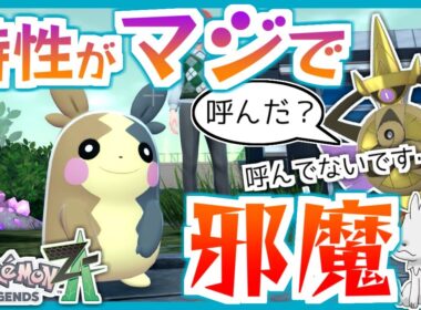 【ポケモンZA】マジで特性がいらないモルペコ【ランクバトル】