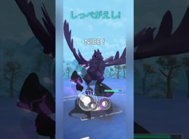 【ポケモンGO】引き先のアーマーガアが強すぎる！【スーパーリーグ】【バトルリーグ】#shorts #ポケモンgo #goバトルリーグ #gbl #スーパーリーグ #pokemongo