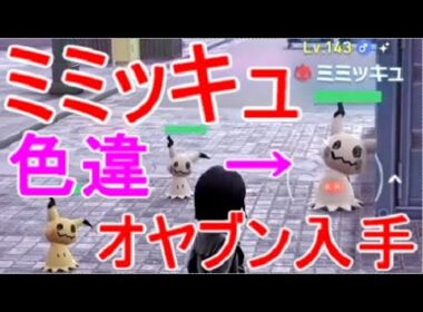 【ポケモンZA】ミミッキュ色違い入手出現場所オヤブン【M次元ラッシュ】DLC実況