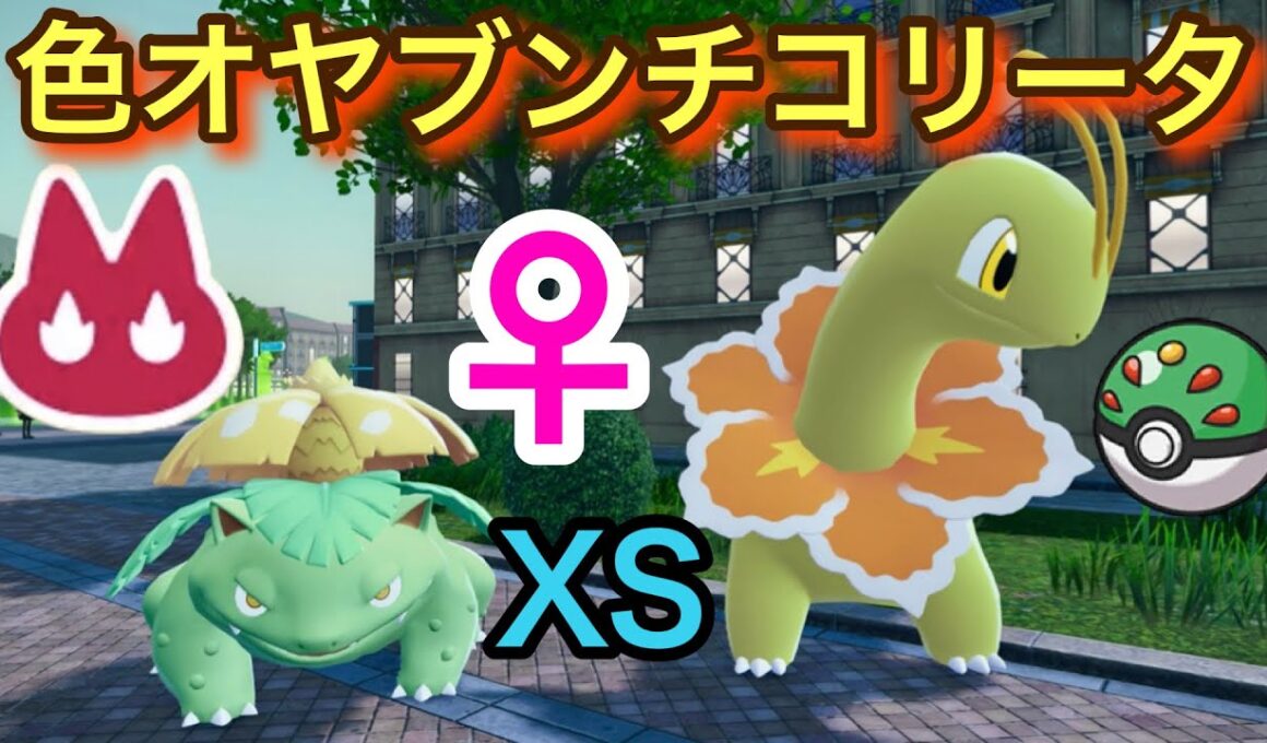 ♀色違いオヤブンチコリータをフレボで厳選＋XSサイズ♀色違いフシギダネきた！【ポケモンレジェンズZA】