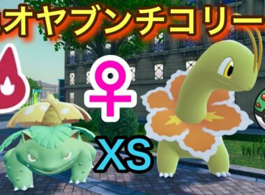 ♀色違いオヤブンチコリータをフレボで厳選＋XSサイズ♀色違いフシギダネきた！【ポケモンレジェンズZA】