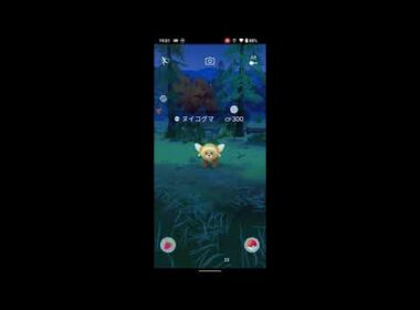 【ポケモンGO】野生の色違いヌイコグマに遭遇！