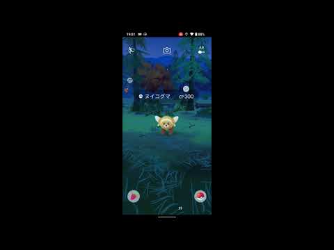 【ポケモンGO】野生の色違いヌイコグマに遭遇！