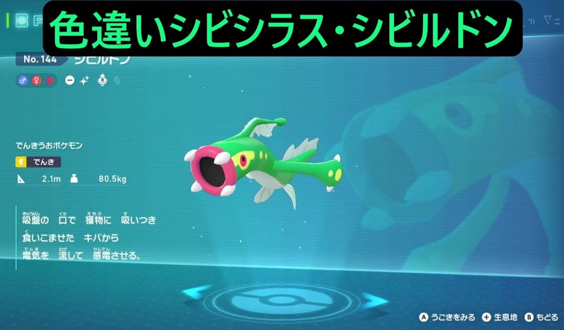 色違いシビシラス・オヤブンシビルドン ポケモンレジェンズZA Pokémon LEGENDS Z-A