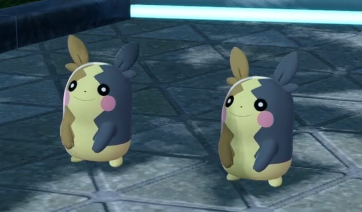 【ポケモンZA DLC】 警備モルペコ ＋ ハバネロフェス 開催 サイドミッション 162 149 攻略 #ポケモン #ポケモンZA  #PokemonLegendsZA #M次元ラッシュ