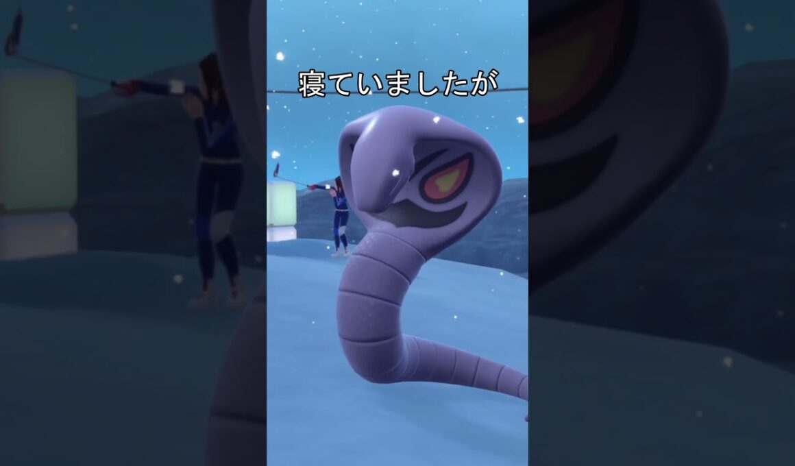 アーボック寝相　比較　#ポケモン #ポケモンza #ポケモンsv #アーボック