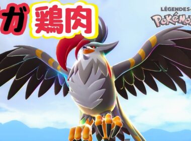 環境破壊の最強クラス、メガムクホークが想像以上に強かった【ポケモンZA】