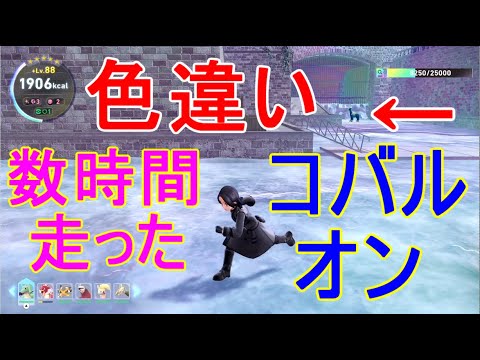 【ポケモンZA】準伝説コバルオン色違い入手なかなか出ない数時間以上かかって大変でした【M次元ラッシュ】攻略DLC実況