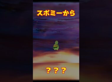 スボミー進化 #ポケモンza #shorts