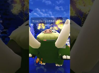 ハイパーリーグホリデーカップWin ヒヒダルマ&サニゴーン ガラルポケモンだいハッスル#ポケモンgo #gbl #ハイパーリーグ #oricon #ポケモン #ポケモンsv #billboard